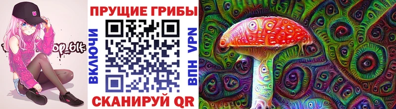 Галлюциногенные грибы Cubensis  мега как войти  Красноармейск  хочу наркоту 